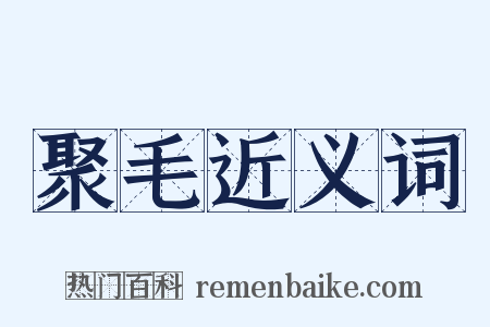 聚毛近义词是什么意思的图片